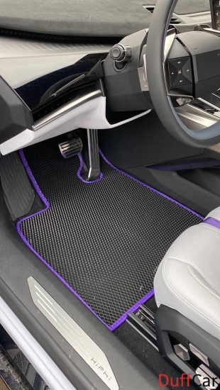 Автомобильные коврики HiPhi Z 2022 - ...